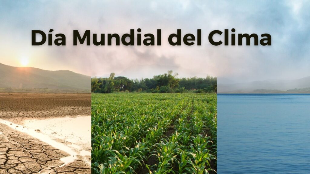 Día Mundial del Clima. Erosion, Sequía, Vegetación y Mar